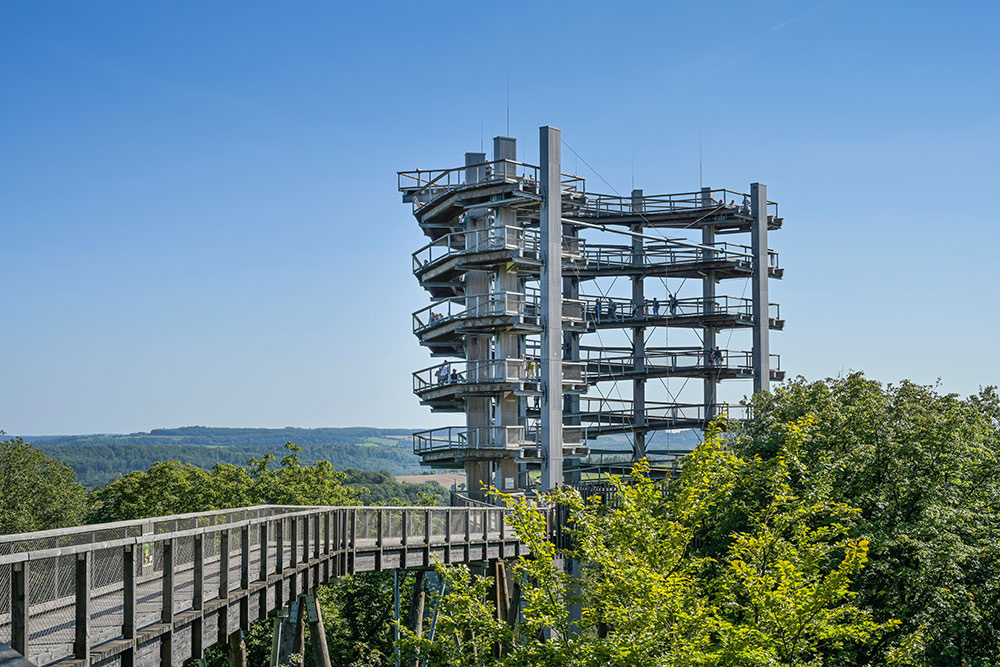 Cloef elevated treetop walk & view point